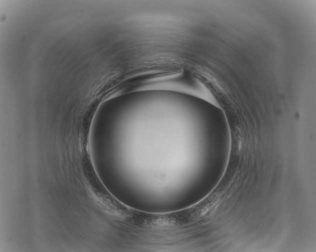 X0000074290546200609011409