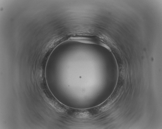 X0000074290548200609011409