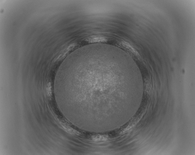 X0000074290549200609011409