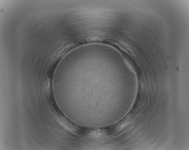 X0000074290550200609011409