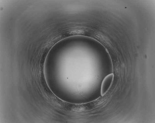 X0000074290551200609011410