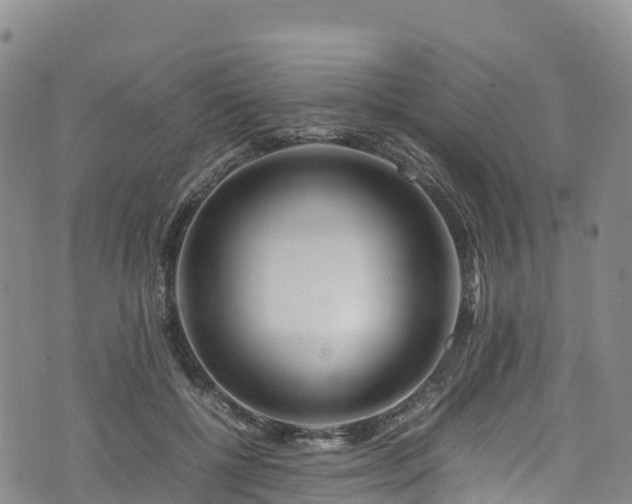 X0000074290552200609011410