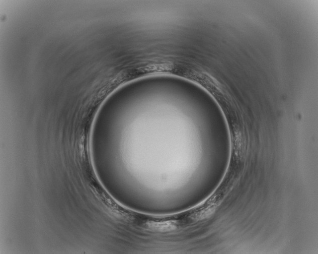 X0000074290553200609011410