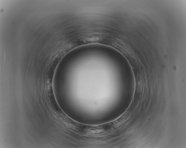 X0000074290555200609011410