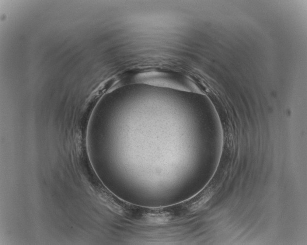 X0000074290556200609011410