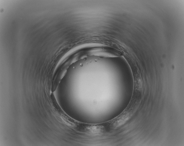 X0000074290558200609011410