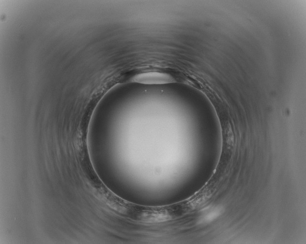 X0000074290559200609011410