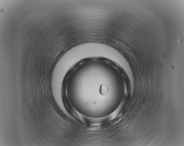 X0000074290560200609011410