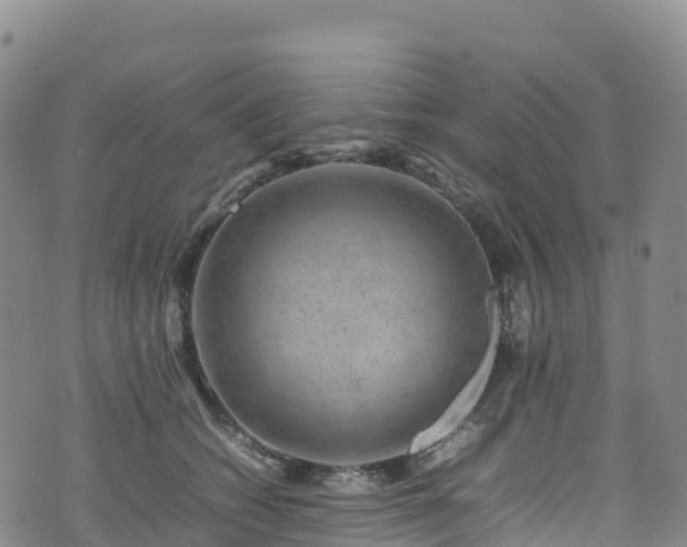 X0000074290562200609011410