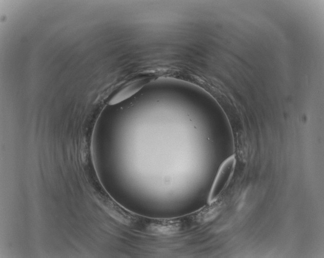 X0000074290563200609011410