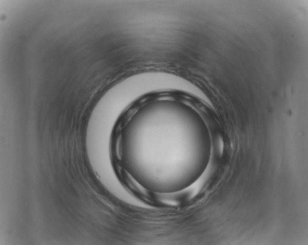 X0000074290564200609011410