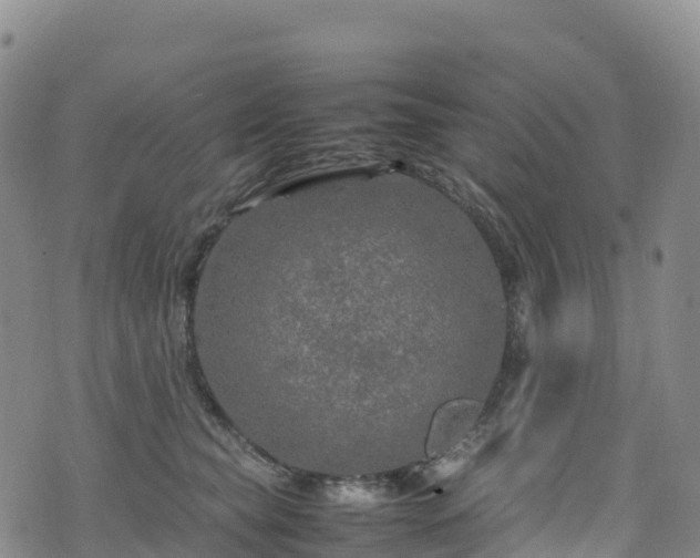 X0000074290565200609011410