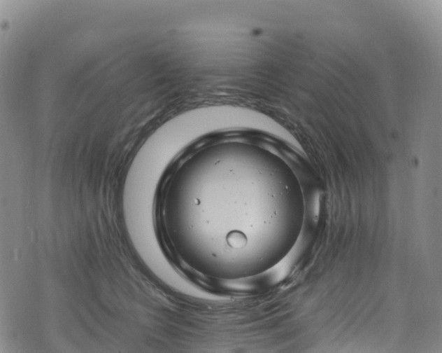 X0000074290566200609011410