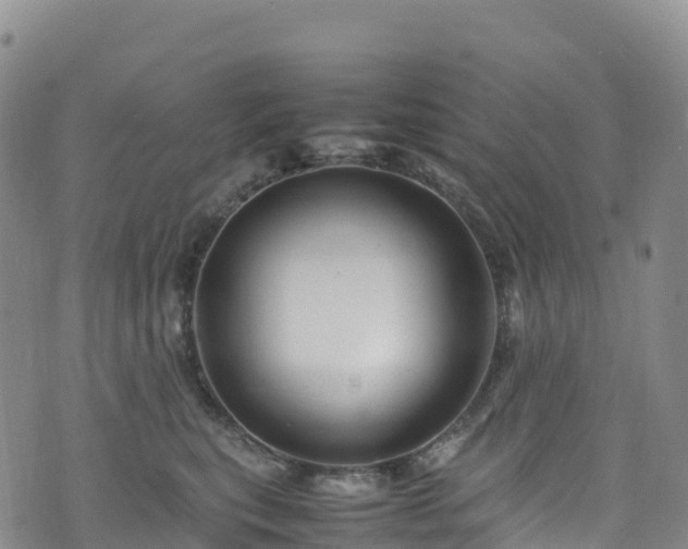 X0000074290567200609011410