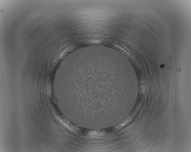 X0000074290568200609011410