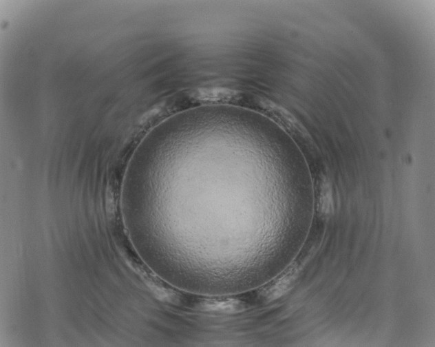 X0000074290569200609011410