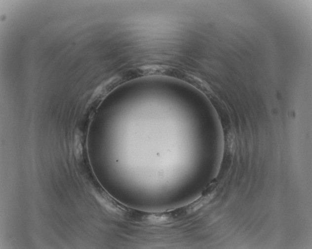 X0000074290570200609011410