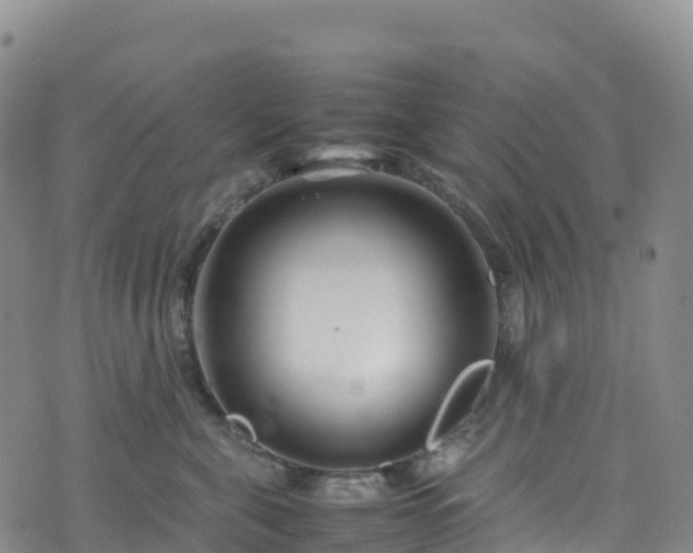 X0000074290571200609011410