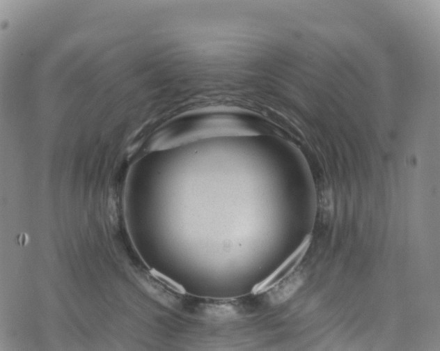 X0000074290572200609011410