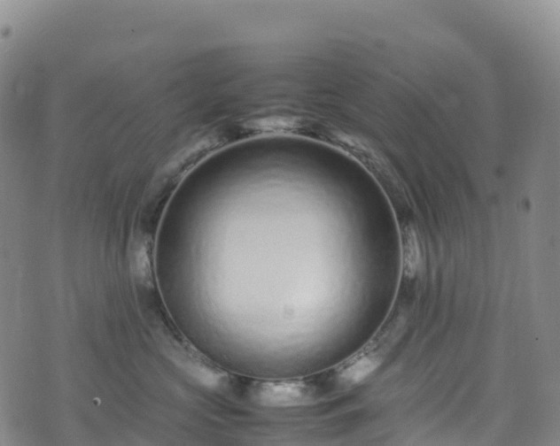 X0000074290573200609011410