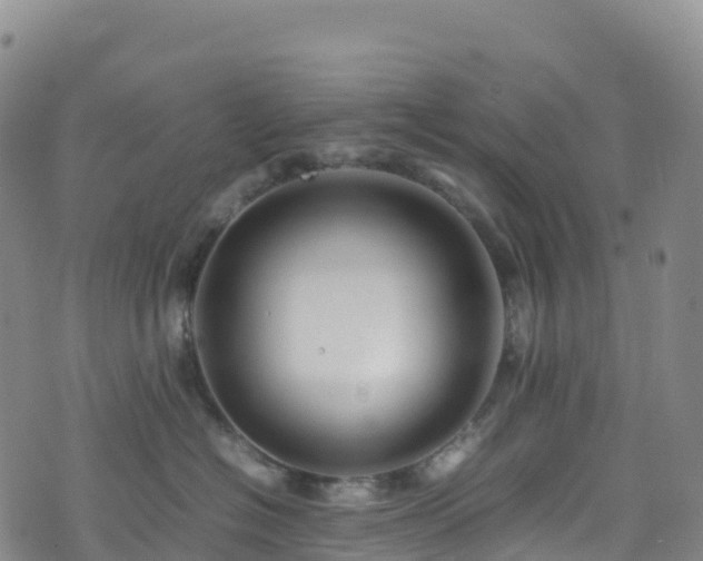 X0000074290574200609011410