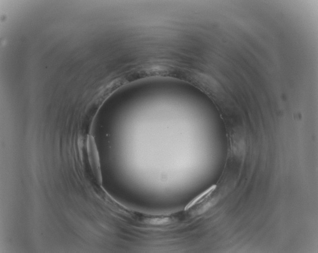 X0000074290575200609011410