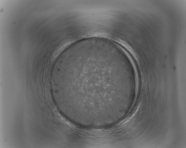 X0000074290577200609011409