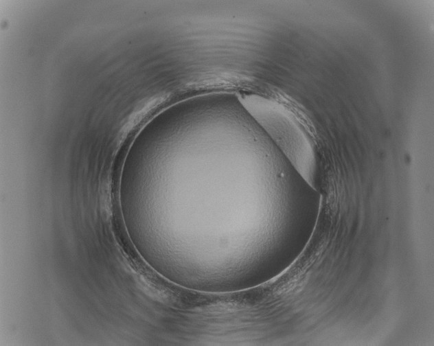 X0000074290578200609011409