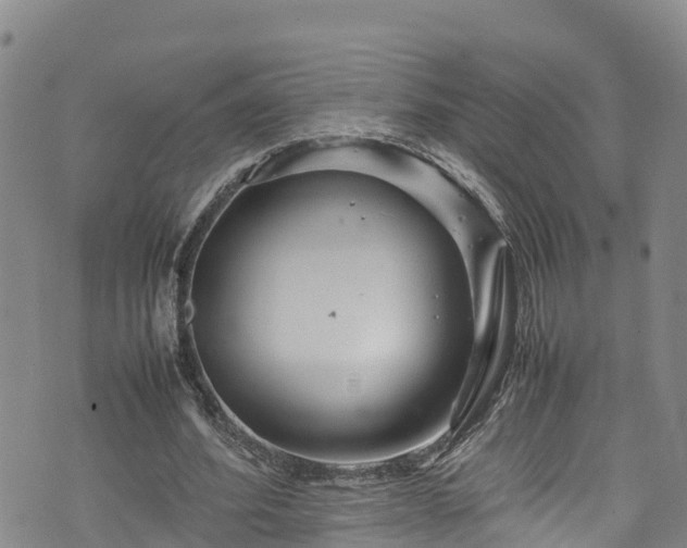 X0000074290580200609011409