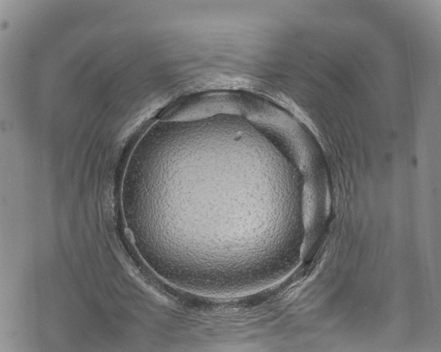 X0000074290581200609011409