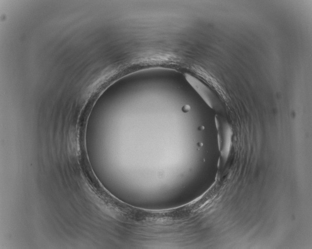 X0000074290582200609011409