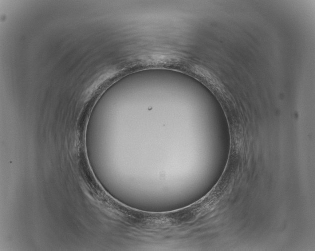 X0000074290583200609011409