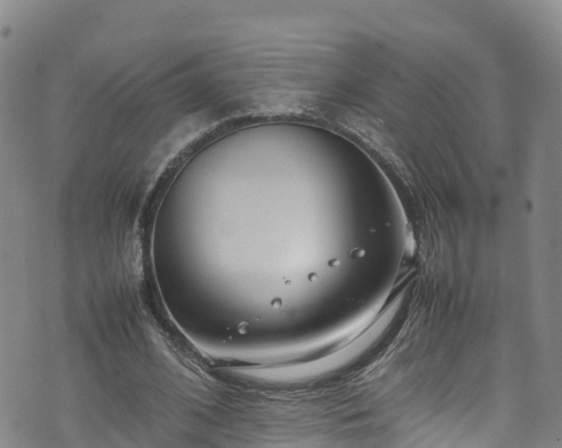 X0000074290584200609011409