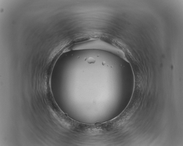 X0000074290586200609011409