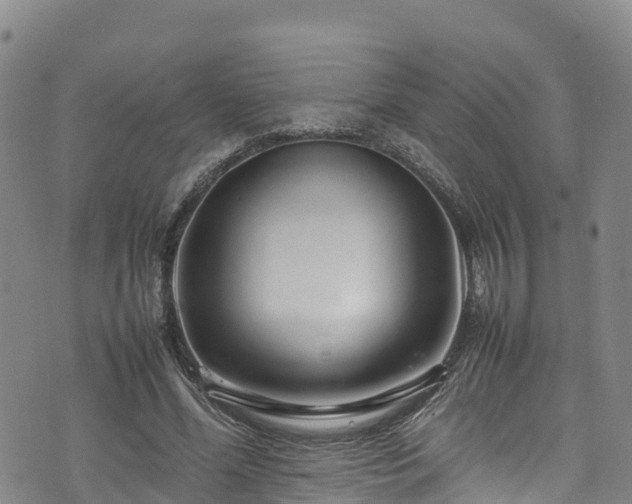 X0000074290588200609011409