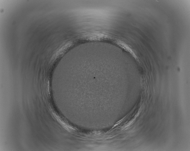 X0000074290589200609011409