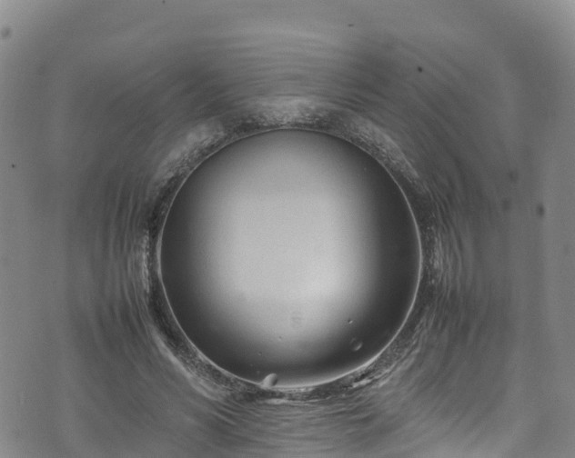 X0000074290590200609011409