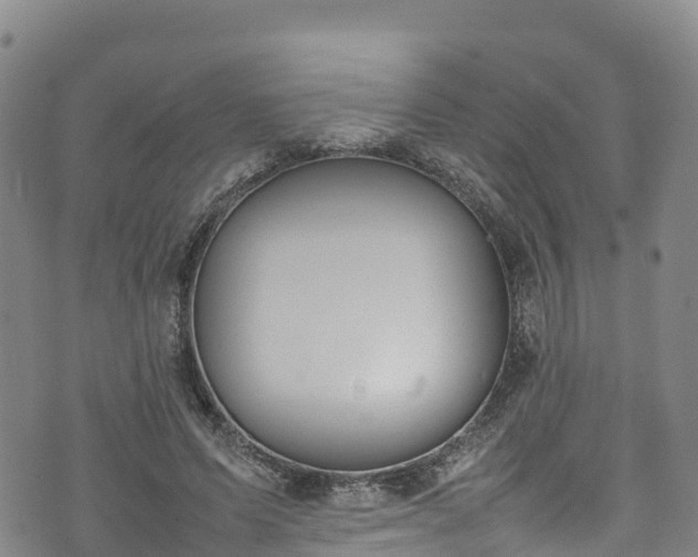 X0000074290591200609011409