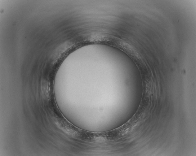 X0000074290592200609011409