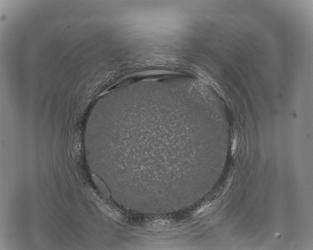 X0000074290593200609011409