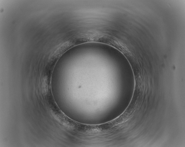 X0000074290594200609011409