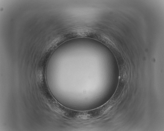 X0000074290595200609011409