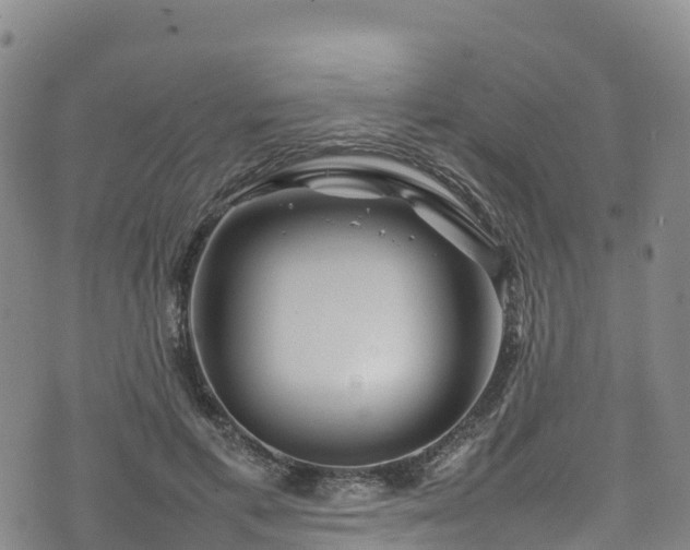 X0000074290597200609011409