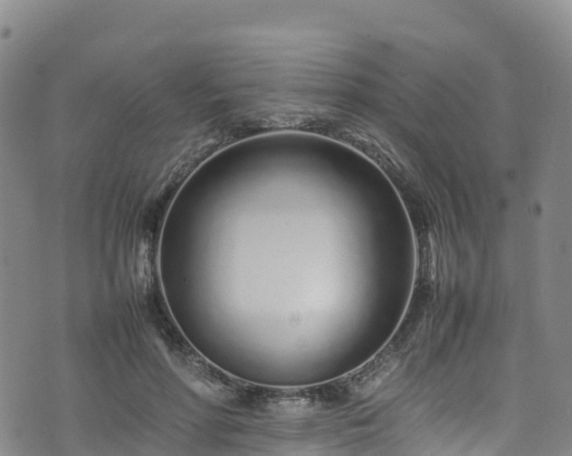 X0000074290598200609011409