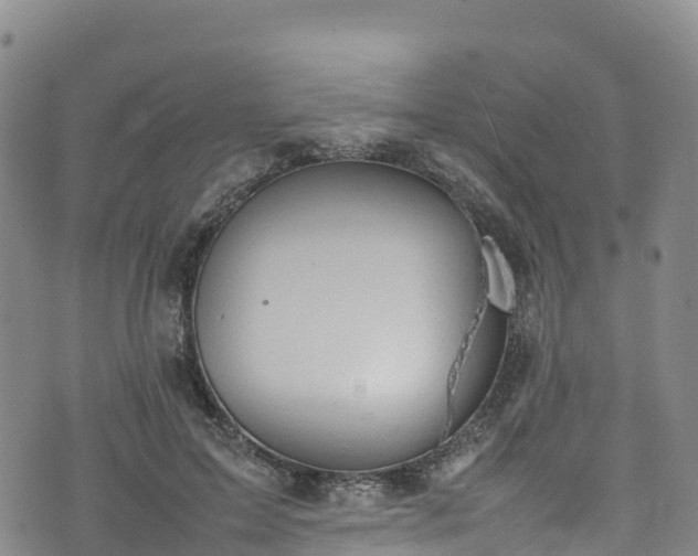 X0000074290599200609011409