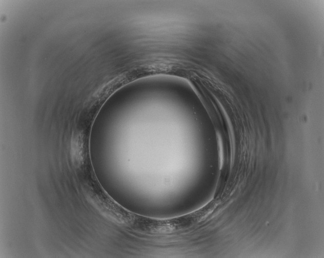 X0000074290600200609011409