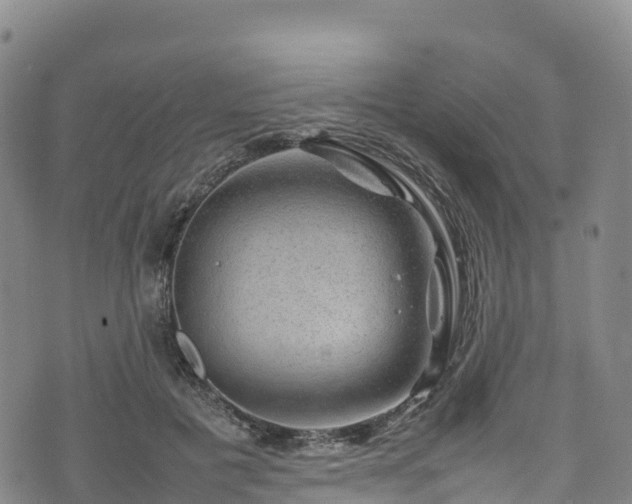 X0000074290601200609011409