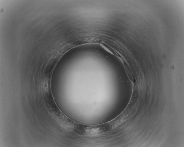 X0000074290602200609011409