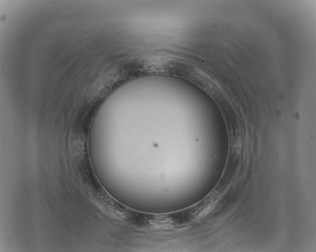 X0000074290603200609011409