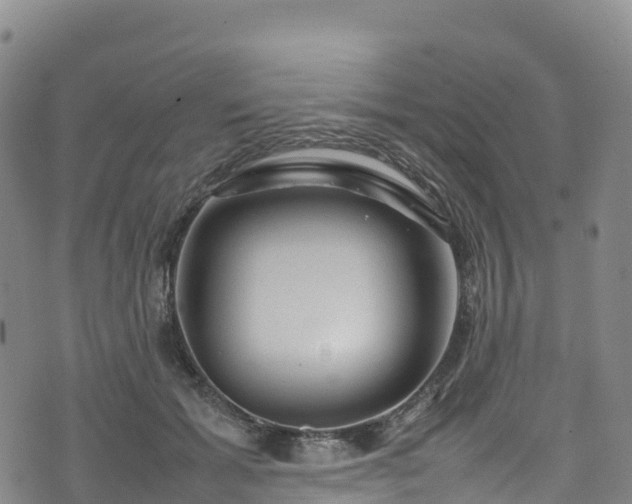 X0000074290605200609011409